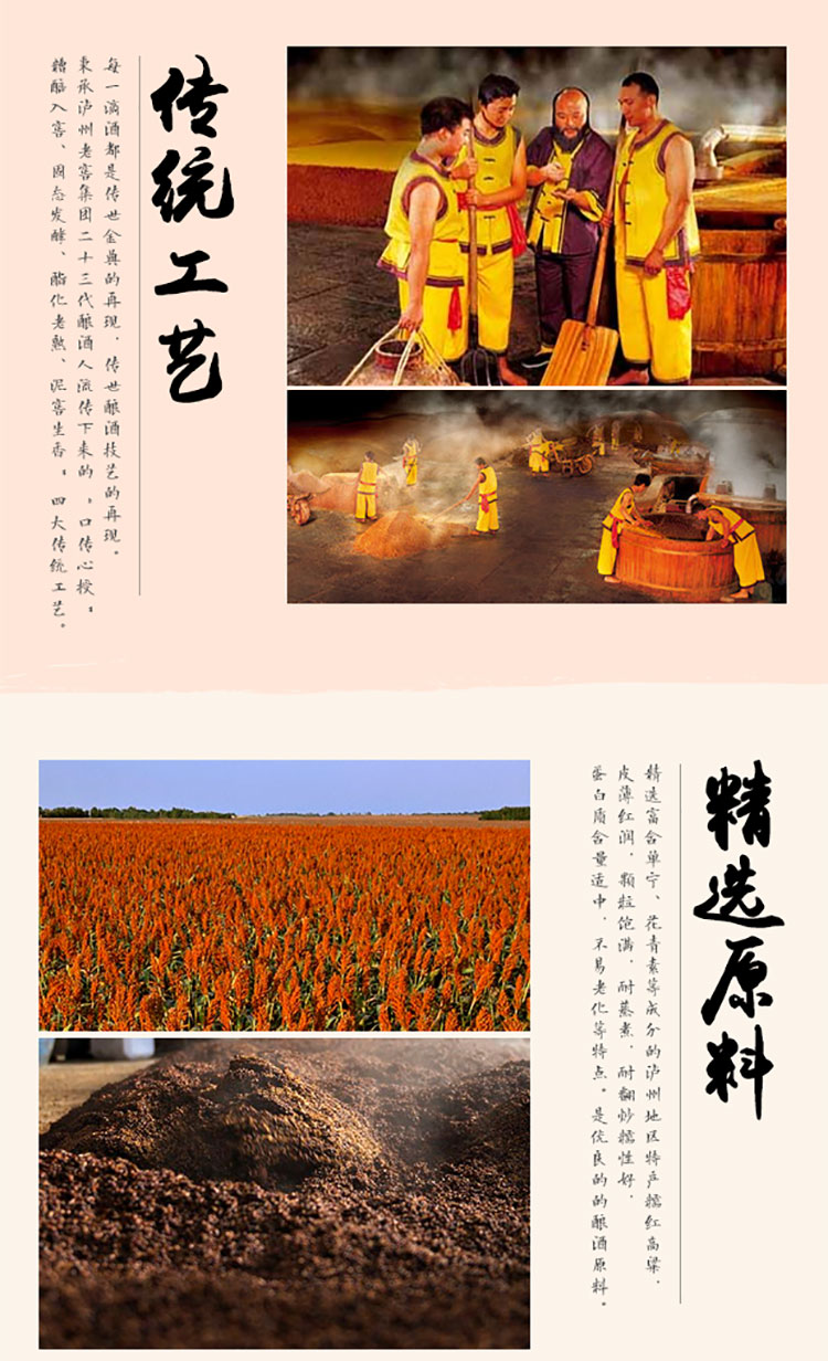 52度泸州老窖老窖藏品9珍藏500ml.jpg