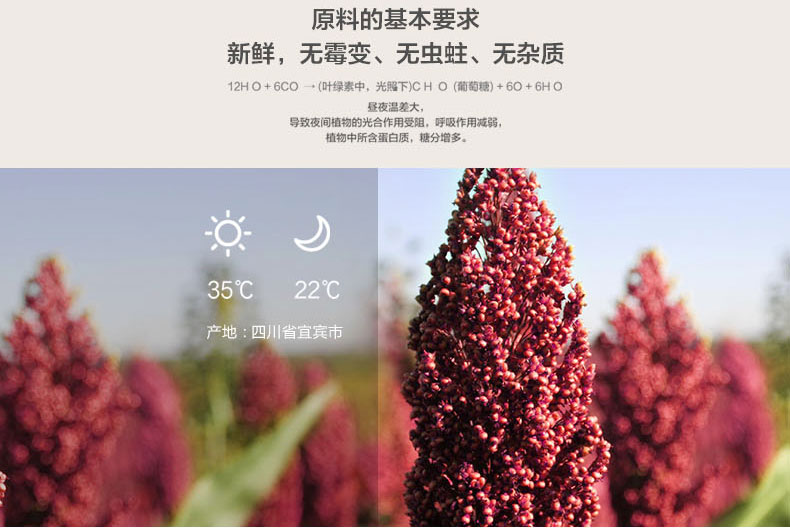 五粮液宜宾直供帝王经典尊品52度500ml瓶装粮食白酒浓香型