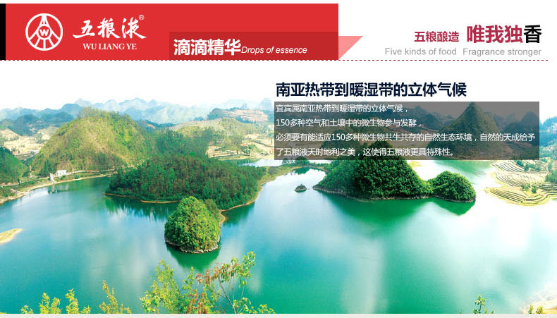 52度500ml五粮液艺术金五粮液金猪五粮液金砖浓香型白酒.jpg