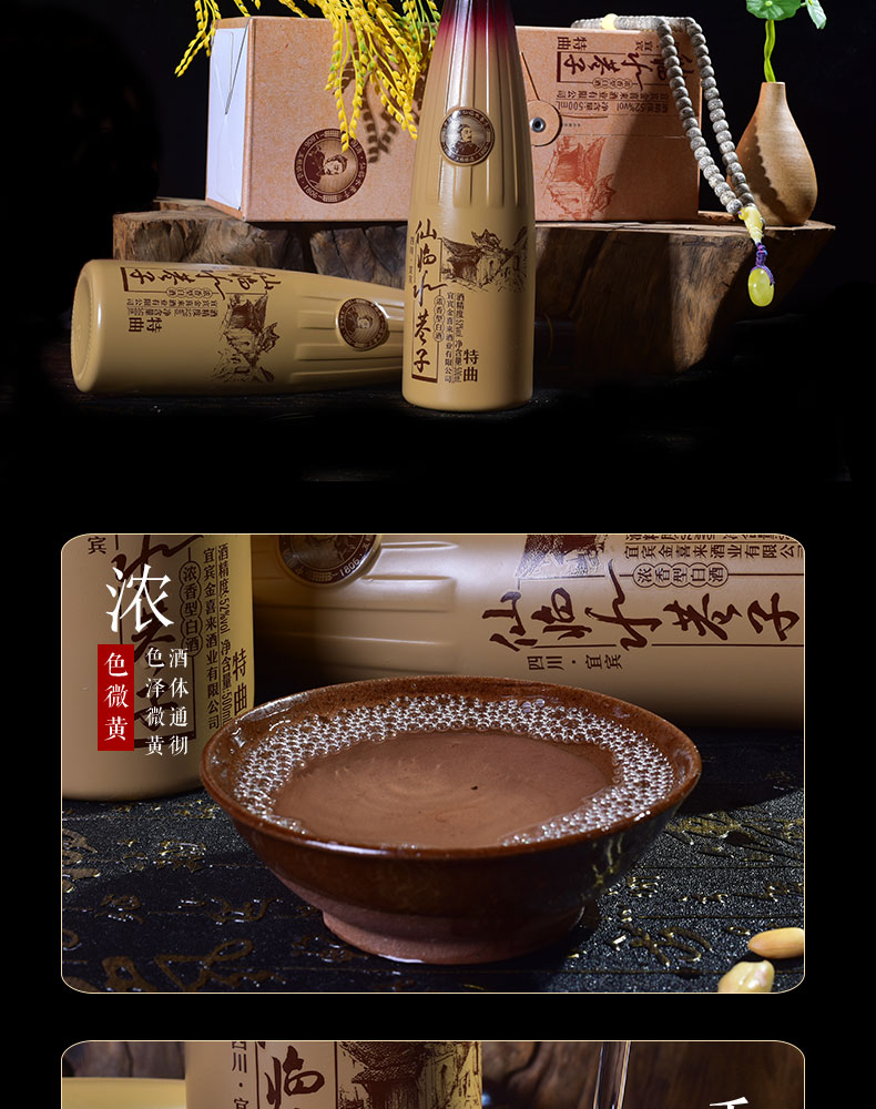 金喜来国产白酒仙临水巷子特曲52度浓香型纯粮酒.jpg