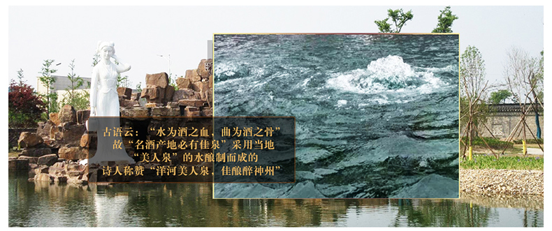 52度洋河头曲锐蓝6 480ML 江苏白酒.jpg