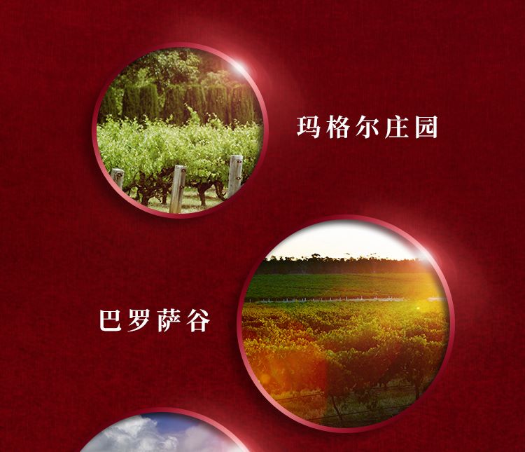 澳洲原瓶进口奔富特瓶Lot518加强型葡萄酒红酒.jpg