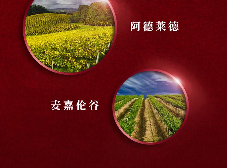 澳洲原瓶进口奔富特瓶Lot518加强型葡萄酒红酒jpg