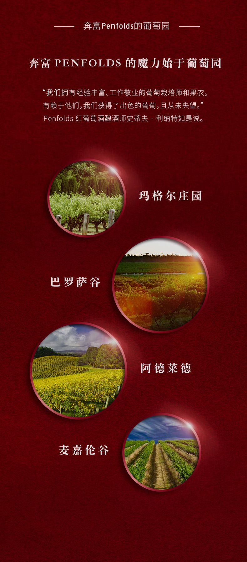 澳洲原瓶奔富BIN2设拉子慕合怀特6瓶价红酒pg