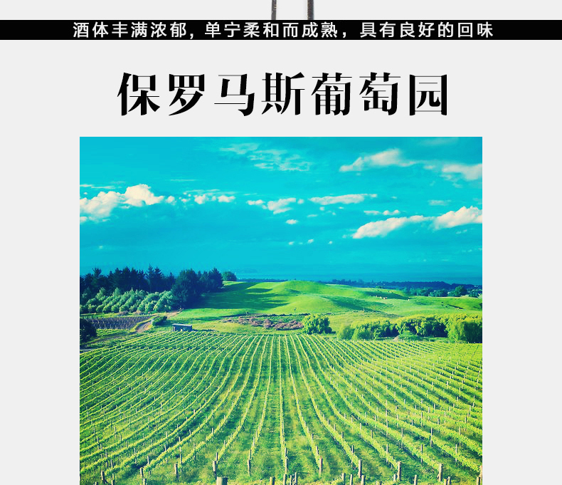 保罗玛斯美乐干红葡萄酒整箱6瓶红酒.jpg