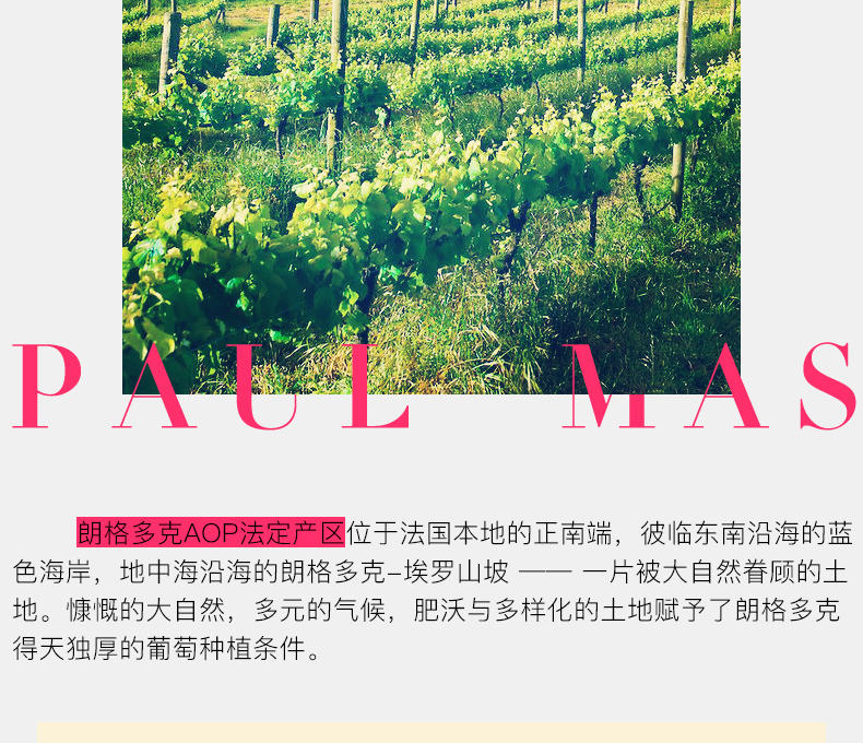 保罗玛斯美乐干红葡萄酒整箱6瓶红酒.jpg