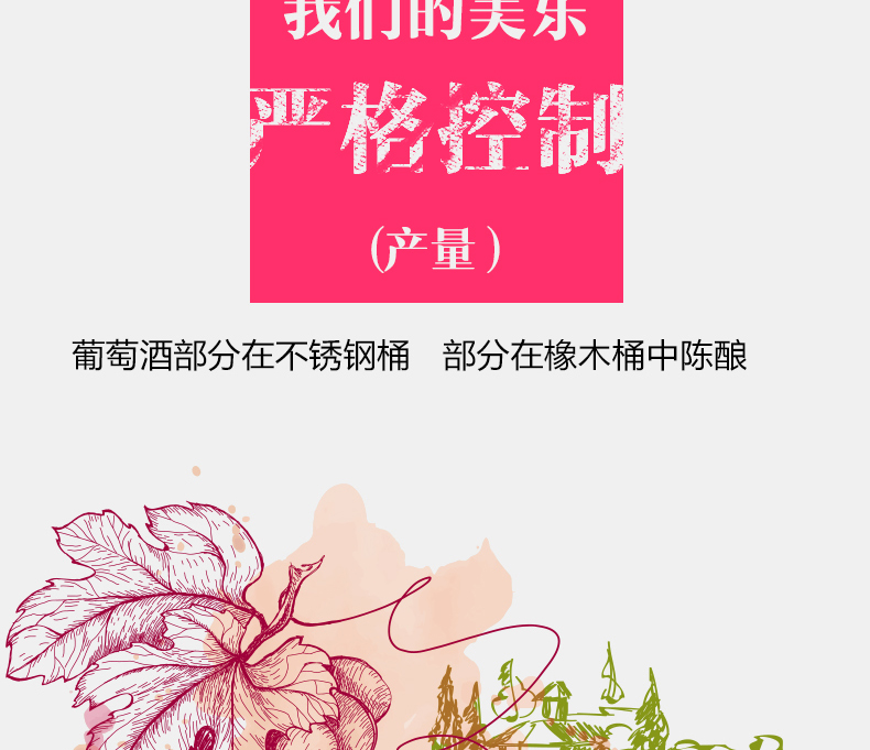 保罗玛斯美乐干红葡萄酒整箱6瓶红酒.jpg