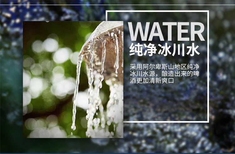 督威啤酒精酿整箱24瓶装.jpg