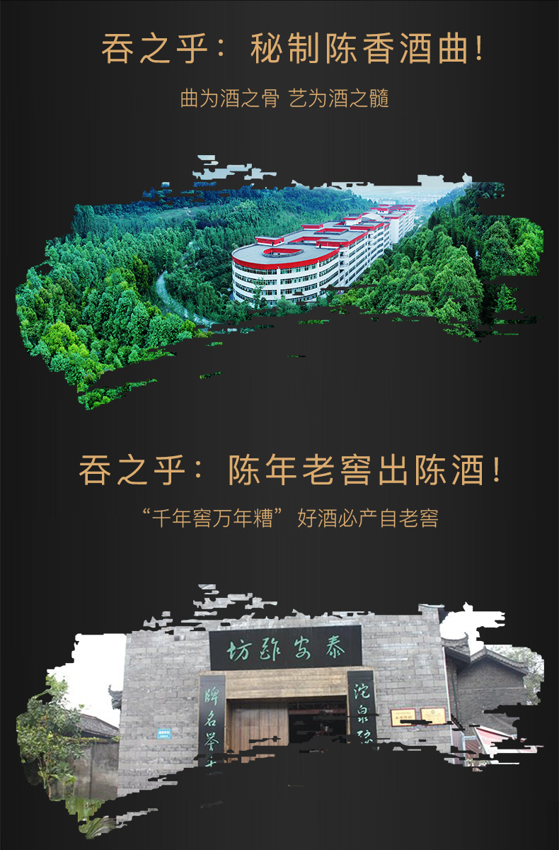 舍得吞之乎黑瓷描金52度500mlx6瓶陈香型高度白酒商务礼品.jpg