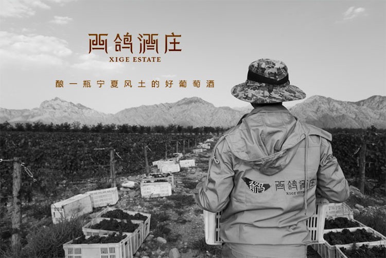西鸽酒庄玉鸽宋彩桃红整箱送旅游名额.jpg