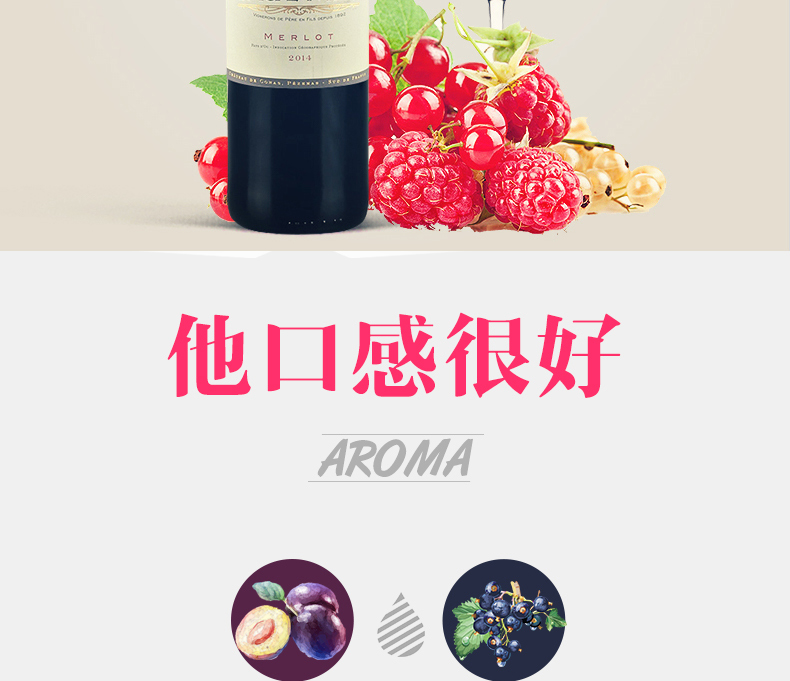法国保罗玛斯原装进口干红葡萄酒 美乐整箱.jpg