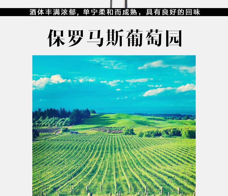 法国保罗玛斯原装进口干红葡萄酒 美乐整箱.jpg
