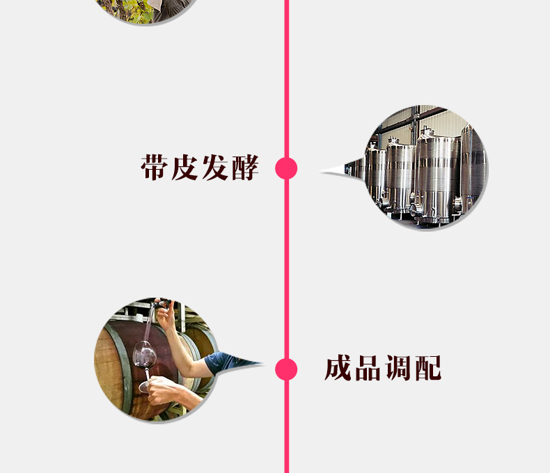 法国保罗玛斯原装进口干红葡萄酒 美乐整箱.jpg