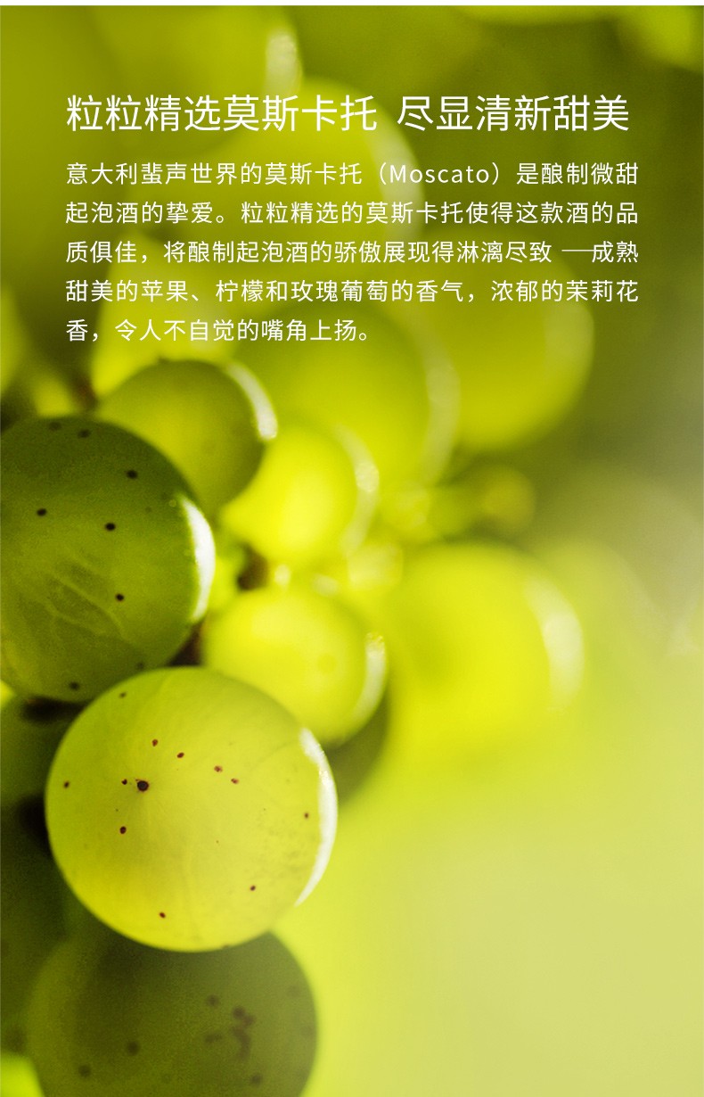 婉爱·意大利莫斯卡托甜白型起泡葡萄酒.jpg