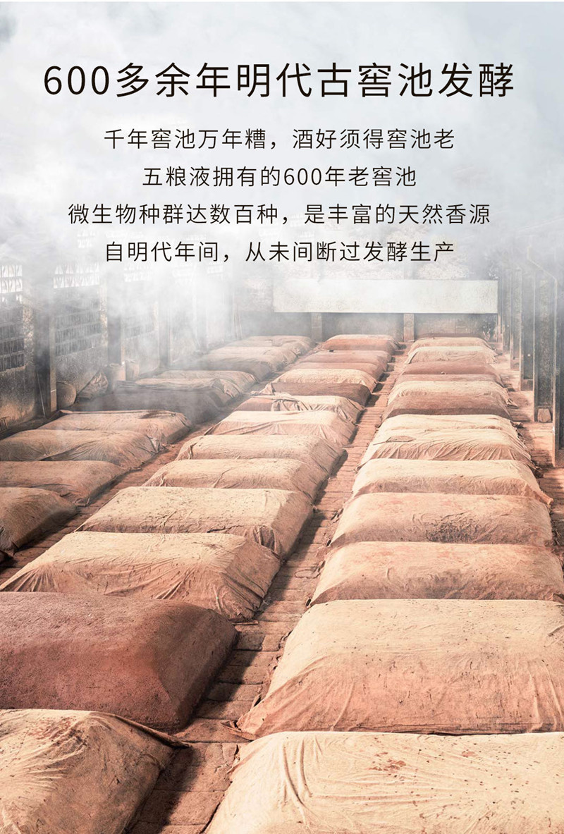五粮液天子酒套龙珍藏版52度浓香型500mlx6瓶礼盒装.jpg