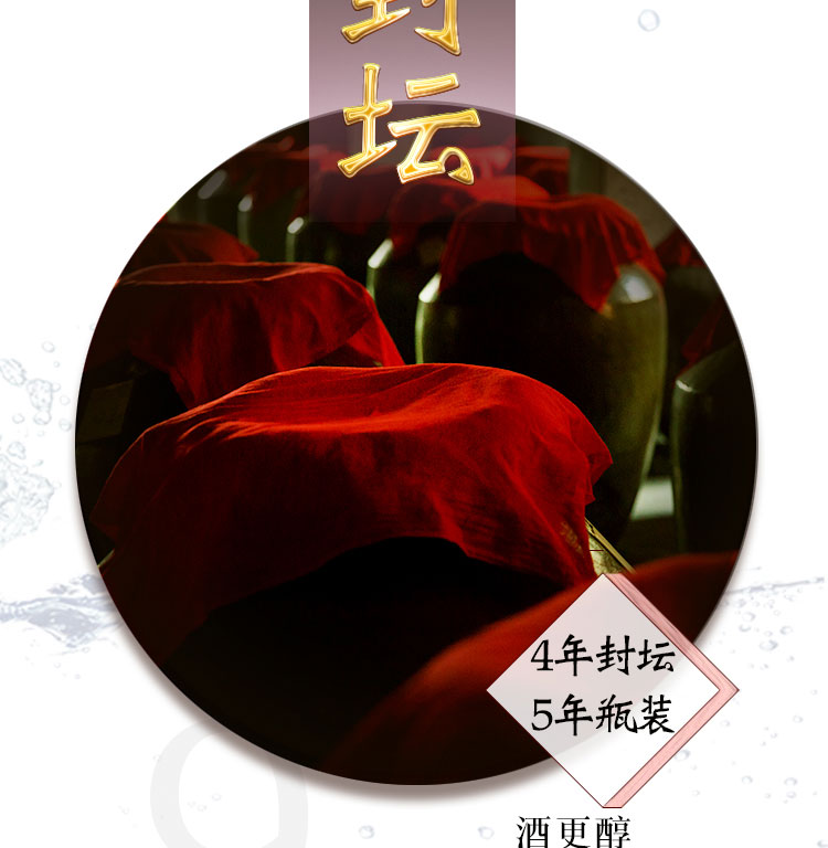 双坊古酒元兴和九粮酿造53度洞藏4年封坛原浆坤沙老酒.jpg