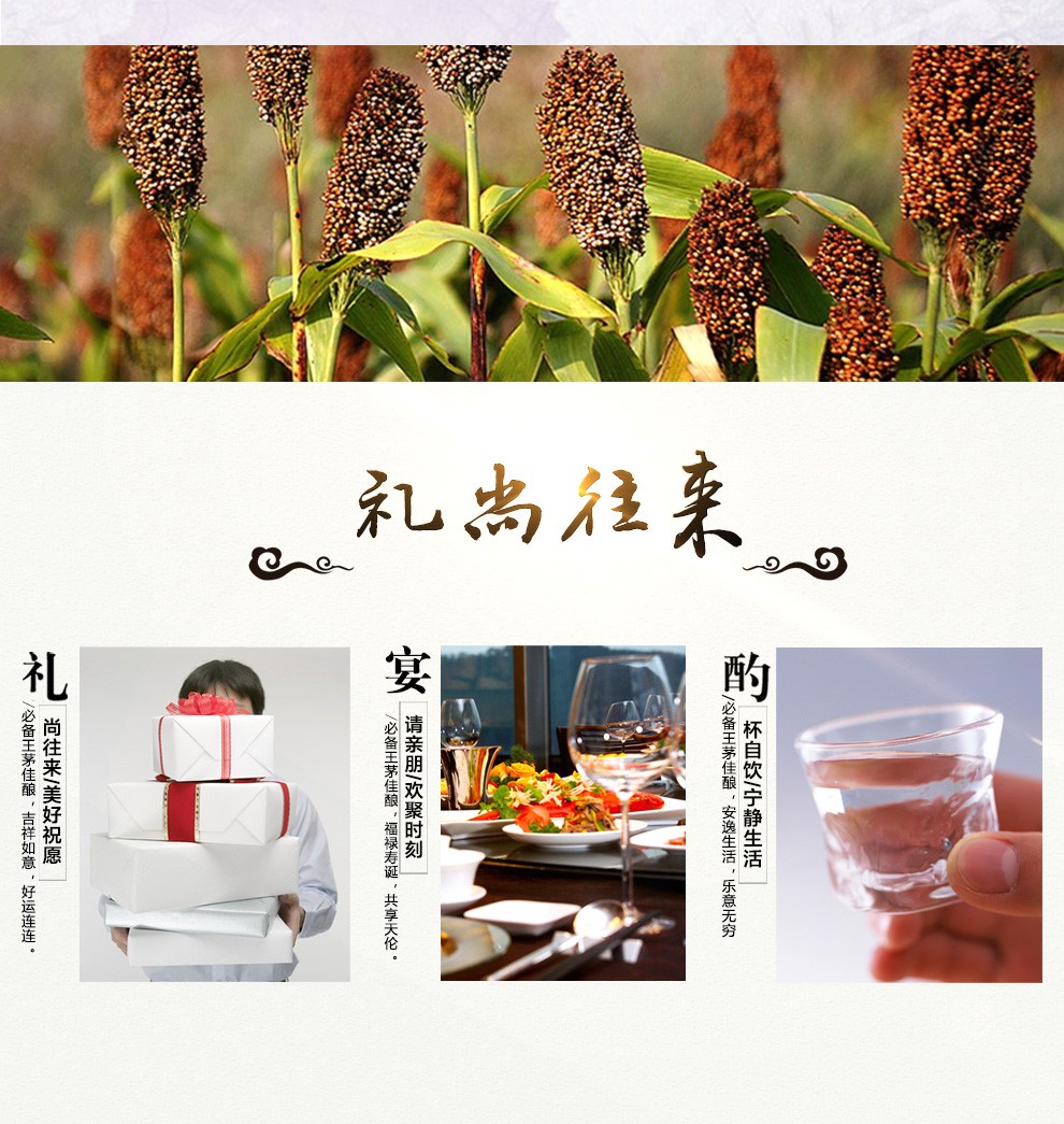 53度500ml茅台王茅祥雅酱香型白酒单瓶装.jpg