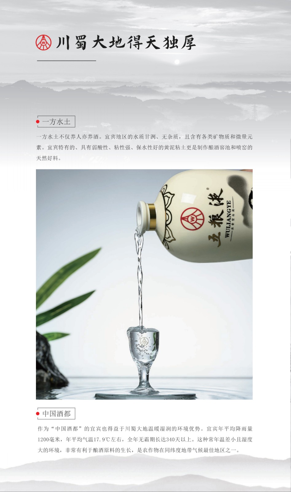52度五粮液熊猫陶瓷瓶500ml.jpg