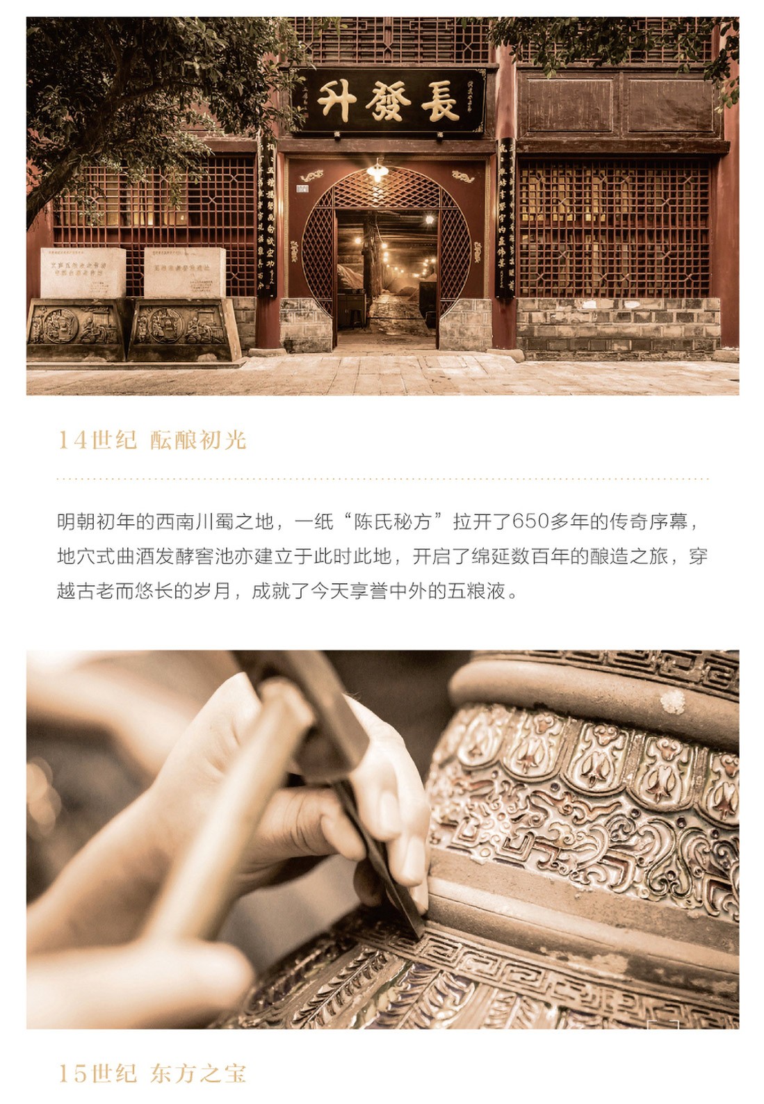 52度500ml五粮液鉴赏高端浓香型鉴赏五粮液.jpg