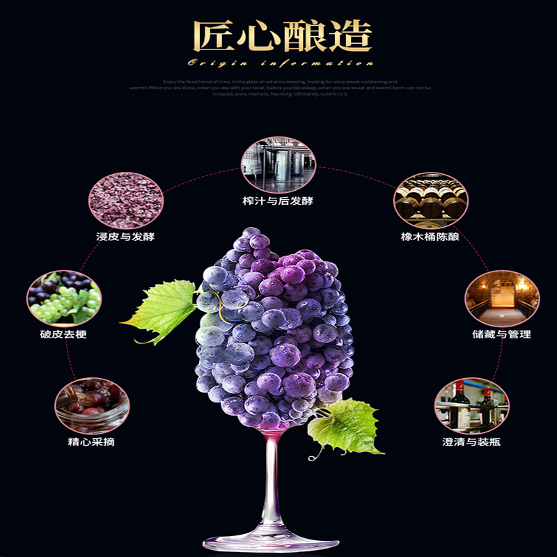 法国宾利爵卡金爵干红葡萄酒750ml单瓶红葡萄酒.jpg