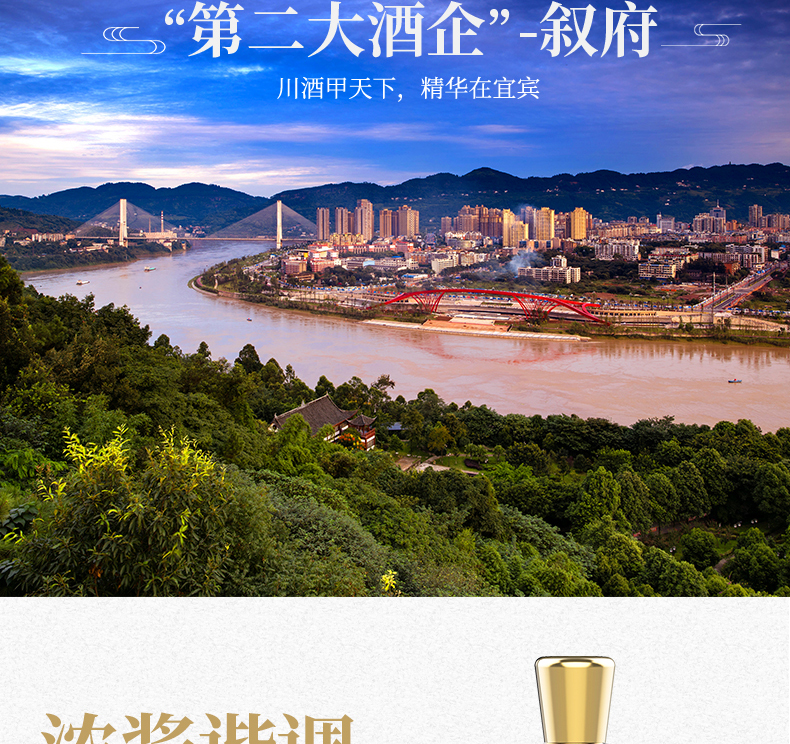 柔雅叙府新版柔雅十五52度500ml单瓶装浓酱兼香型.jpg