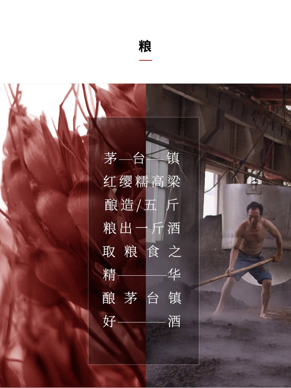 53度贵州大曲高度粮食酒酣客半月坛250ml.jpg