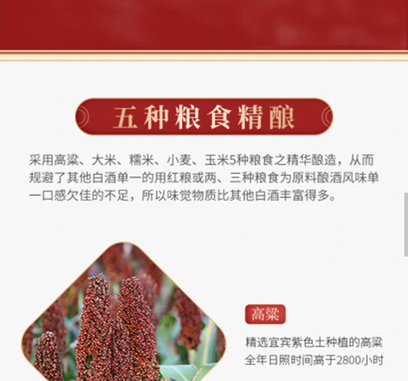 52度五粮液尊酒龙凤印浓香型白酒500ml.png