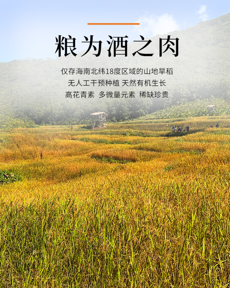 拙酎山栏酒高端款.jpg