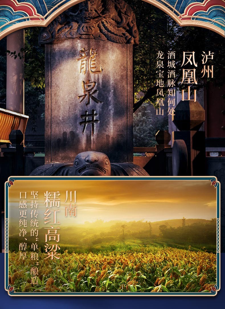 泸州老窖2015年份酒国窖1573鸿运568/52度浓香型白酒500ml*6.jpg