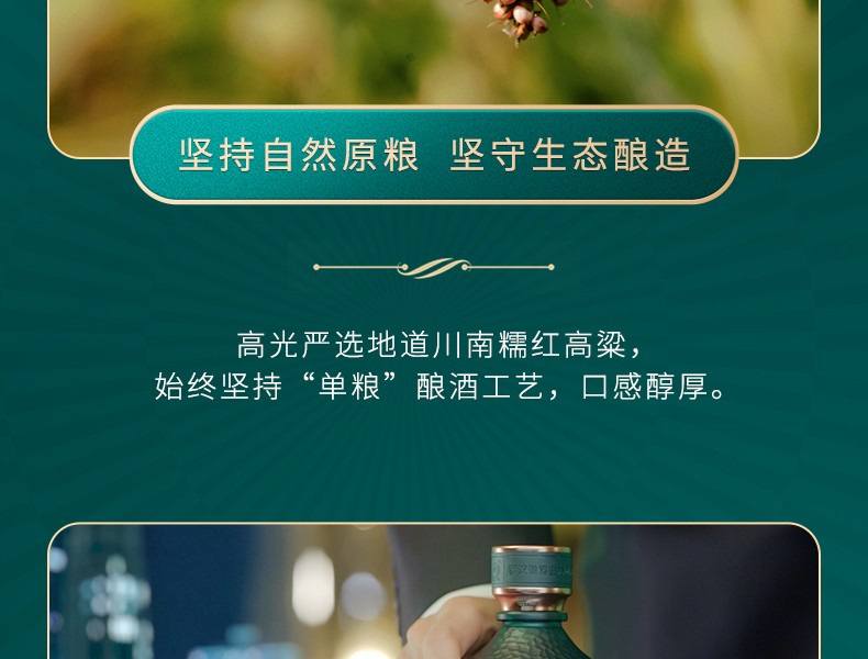 泸州老窖高光G3 40.9度浓香轻奢高端光瓶酒500ml*6瓶.jpg