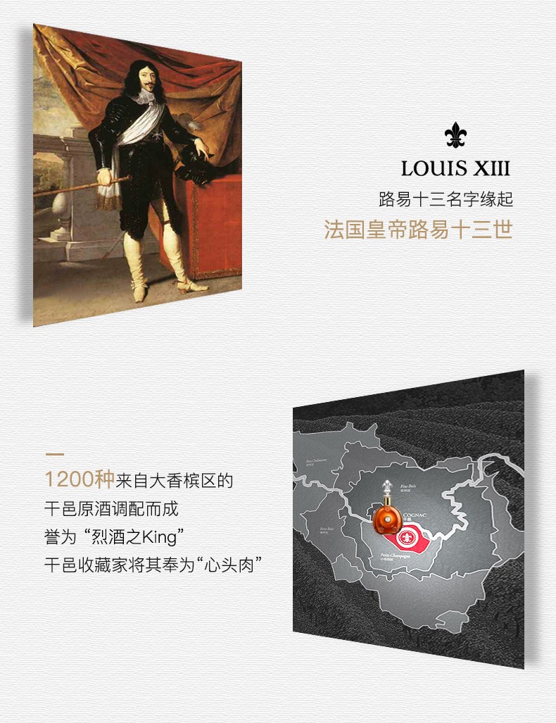 人头马路易十三700mL Remy Martin LouisXIII干邑白兰地洋酒.jpg