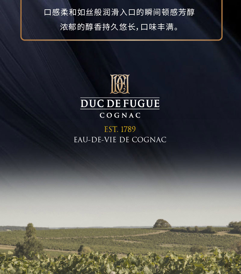 帝佛卡X.O干邑白兰地 1000ml.jpg