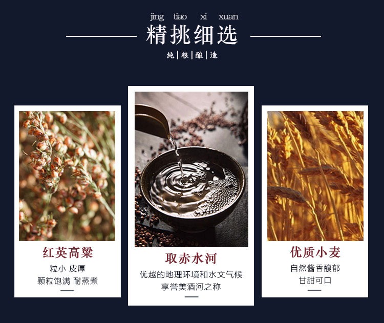 茅台王子黑金王子酱香型白酒53度500ml.jpg