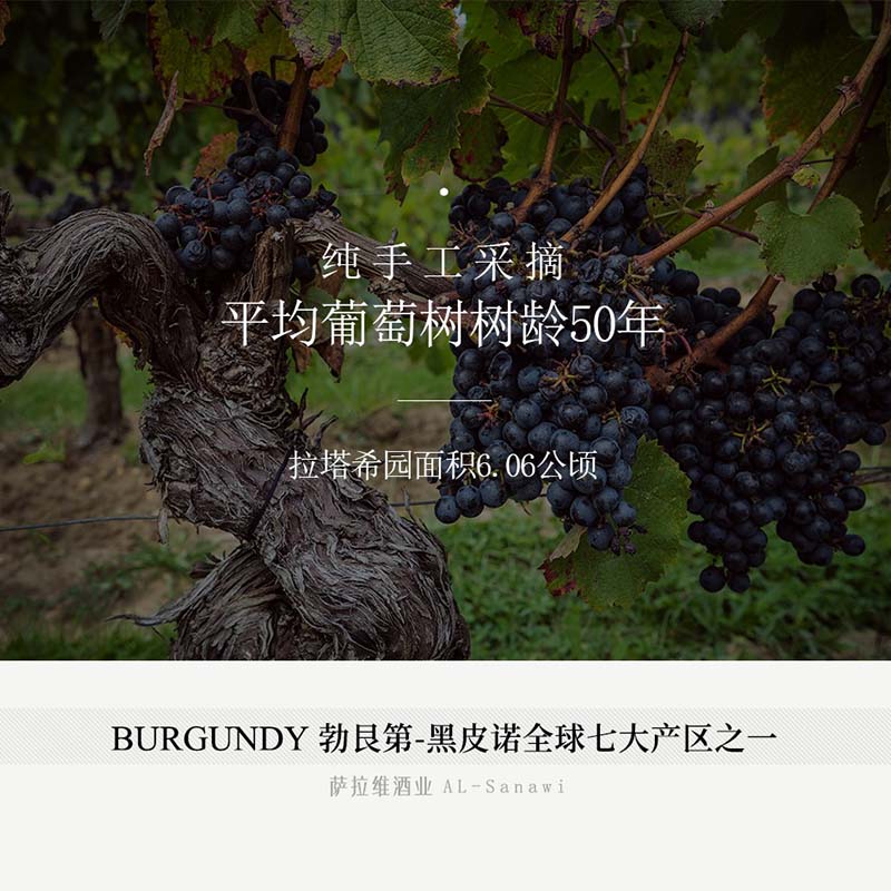 特级罗曼尼康帝拉塔希La Tache红葡萄酒 法国原瓶进口红酒750ml 2009年.jpg