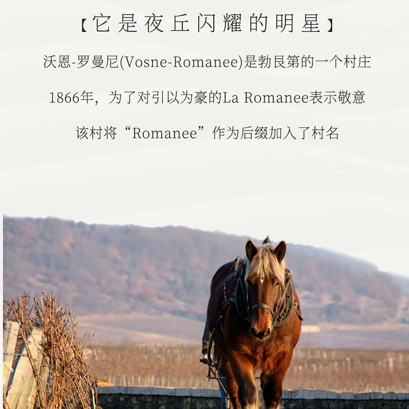 特级罗曼尼康帝李奇堡Richebourg红葡萄酒 法国原瓶进口红酒750ml 2014年.jpg