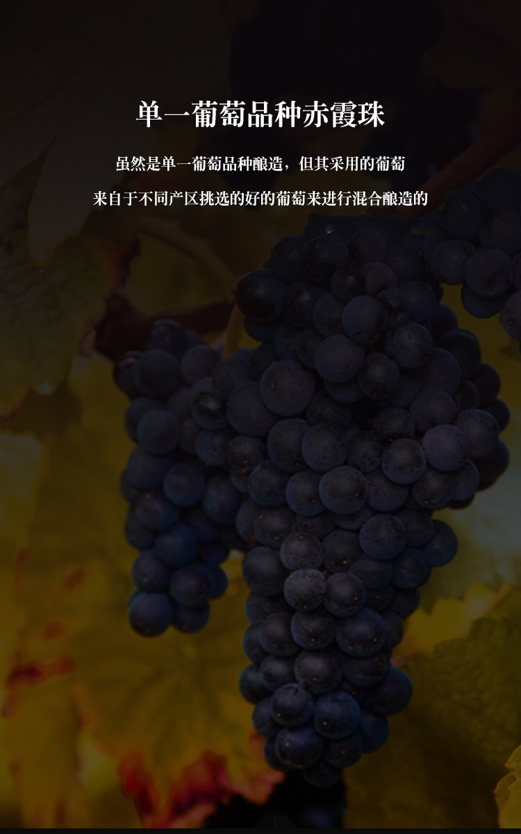 奔富红酒奔富BIN407进口奔富407葡萄酒750ml瓶jpg