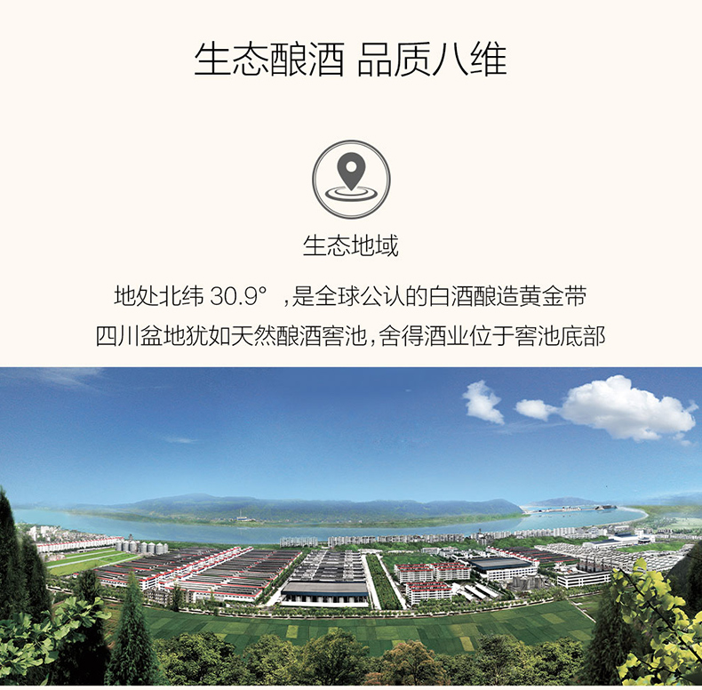 沱牌曲酒90年代46度480ml浓香型白酒.jpg