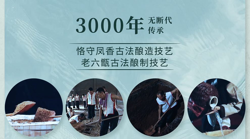 西凤酒1964珍藏版凤香型白酒55度500ml整箱装.png