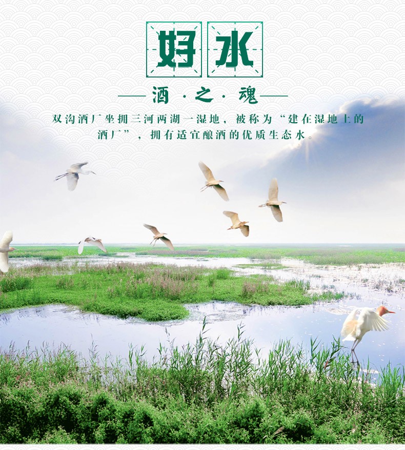 双沟苏酒封坛酒52度2L白酒 .jpg