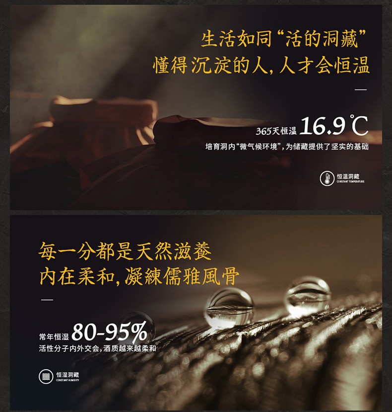 广西丹泉酒洞藏10酱香型白酒50度500mljpg