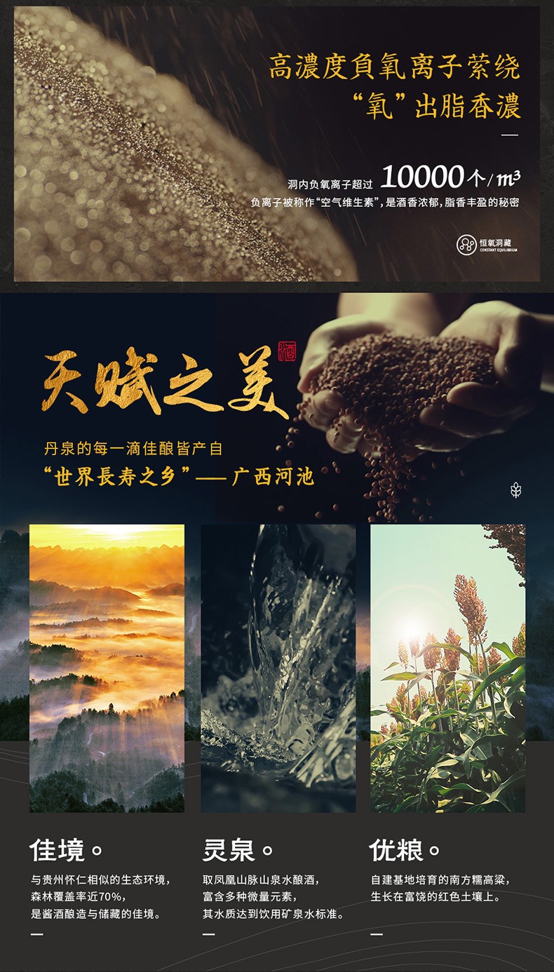 广西丹泉酒洞藏10酱香型白酒50度500ml.jpg