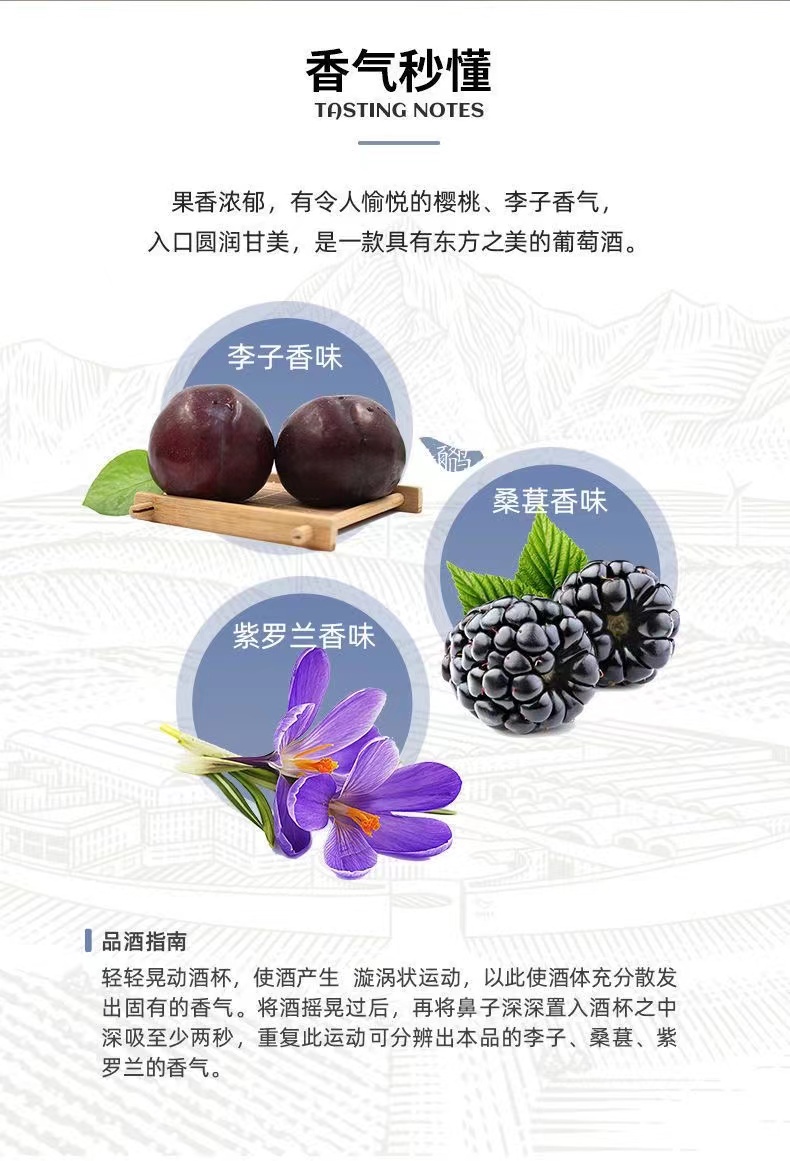 西鸽酒庄N50赤霞珠干红葡萄酒750ml西鸽N50.jpg