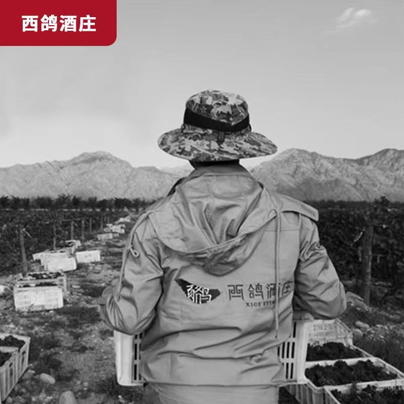 西鸽N609老藤干红葡萄酒750/瓶.jpg