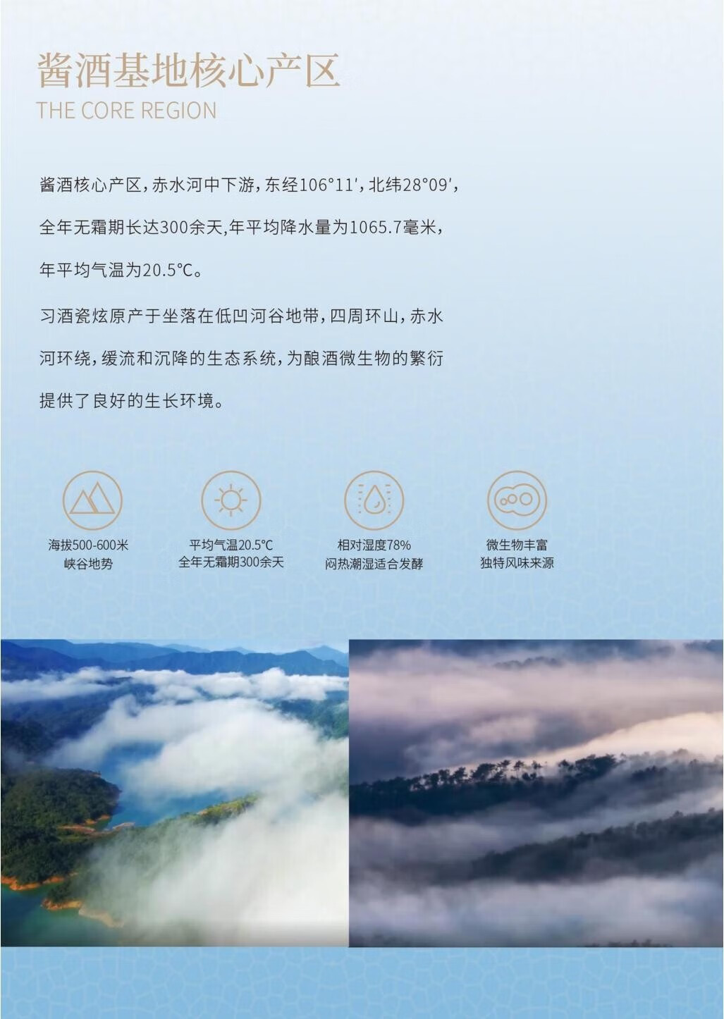 习酒贵州习酒瓷炫 500ml.jpg