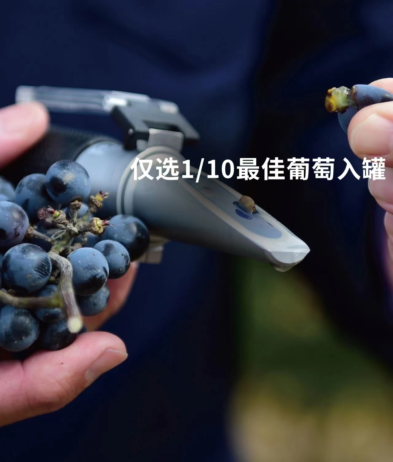 张裕丁洛特酒庄传世之作干红葡萄酒.jpg