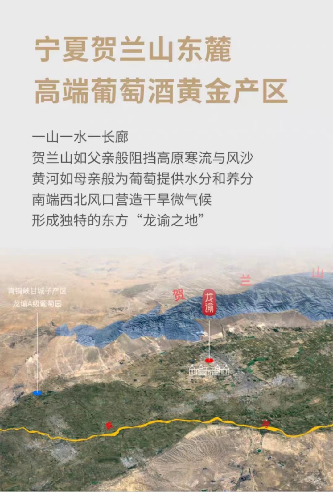 张裕龙谕酒庄酒龙12赤霞珠干红葡萄酒3L.jpg