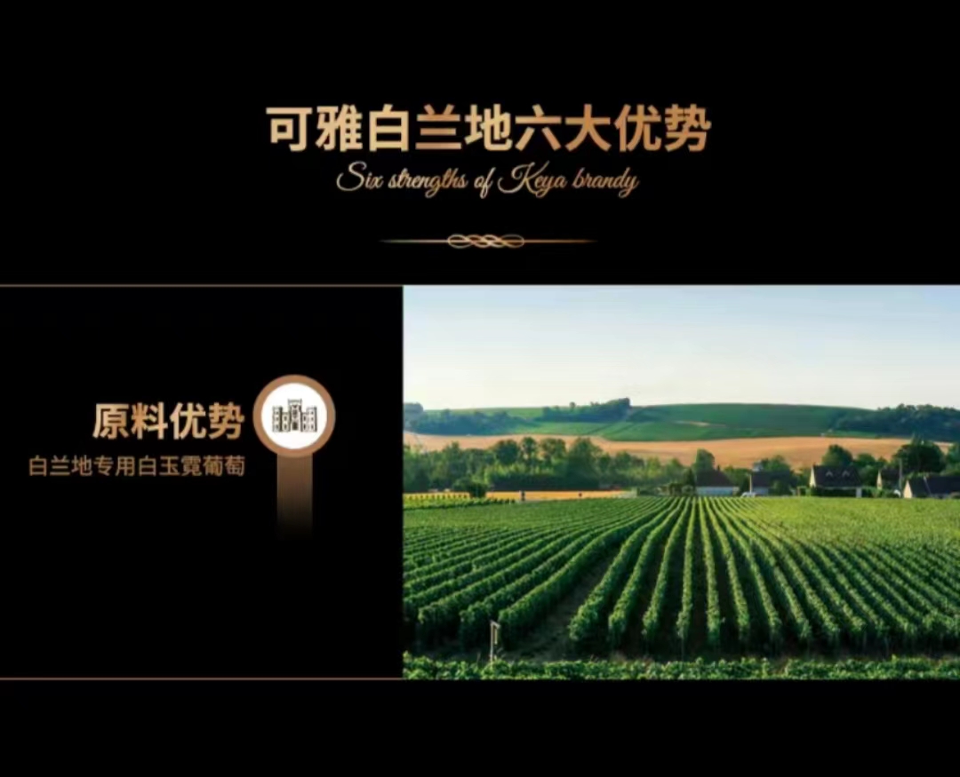 张裕可雅VSOP白兰地桶藏6年700ml.jpg