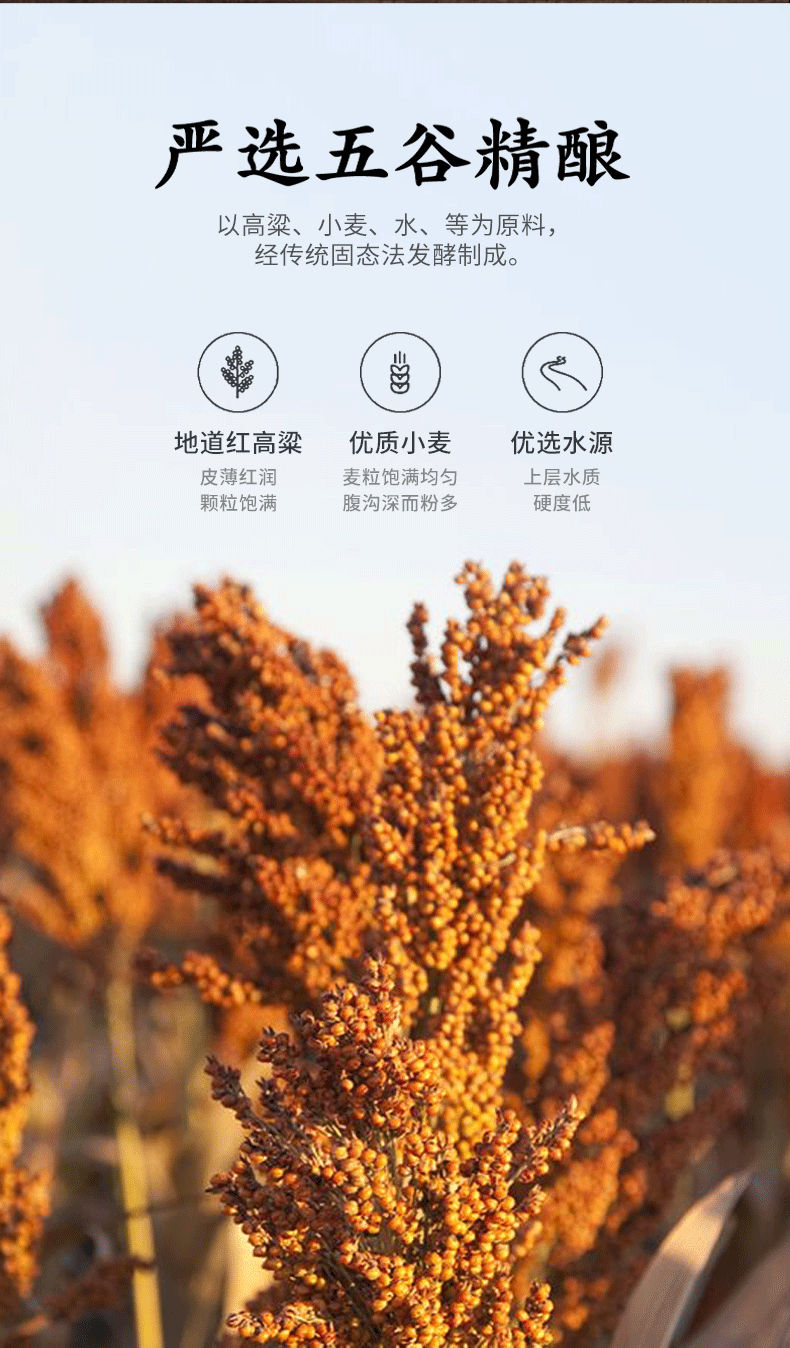 53度1L装荣和烧坊龙坛荣和珍藏龙坛酱香型白酒.gif