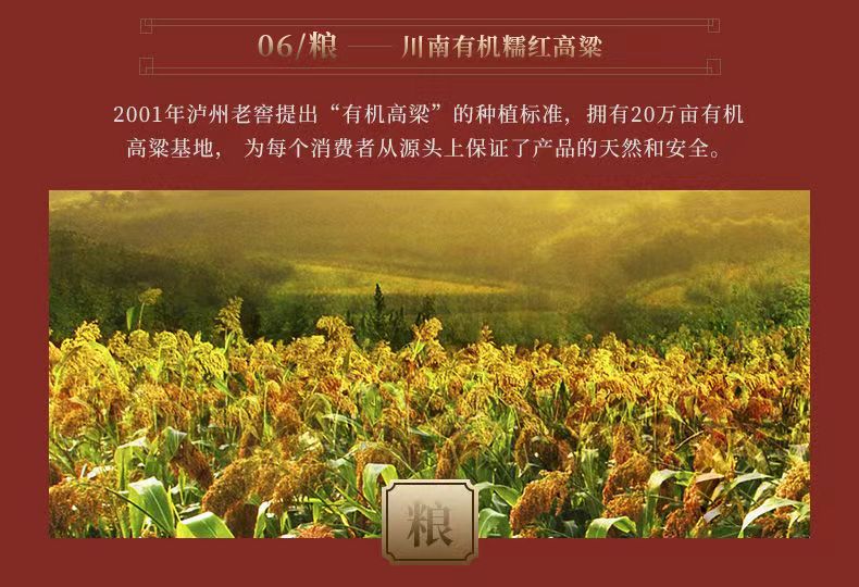 泸州老窖国窖1573雁塔祈福泸州老窖雁塔祈福52度600ml.jpg