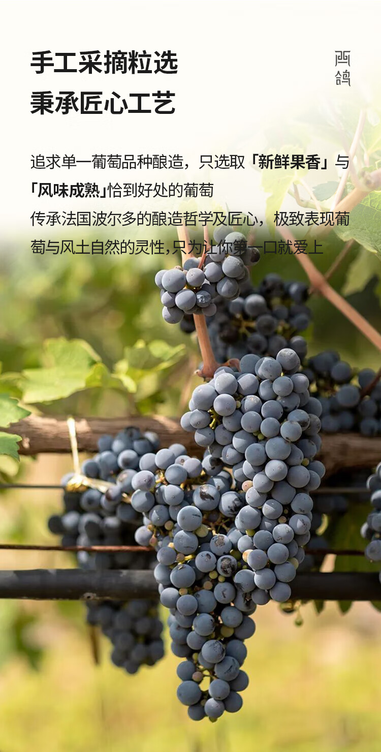 西鸽酒庄西鸽N28马尔贝克干红葡萄酒750ml.jpg